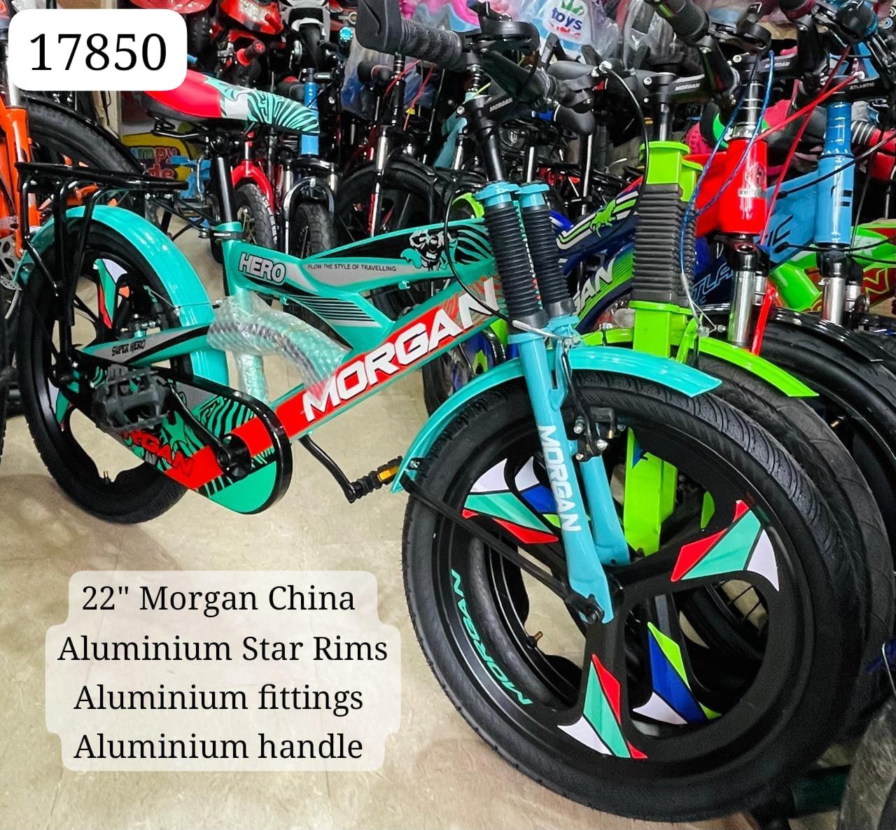 Morgan 22" Stylish China Edition Bicycle