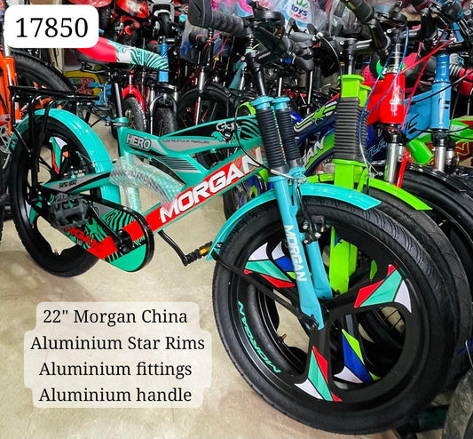 Morgan 22" Stylish China Edition Bicycle